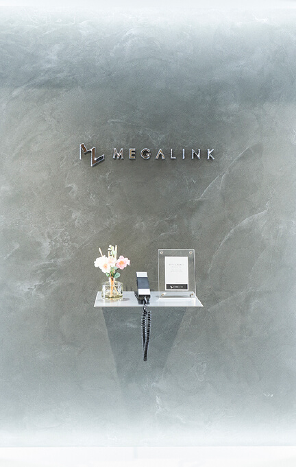 MEGALINK