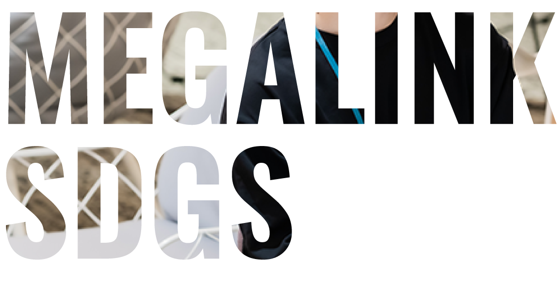 MEGALINK SDGS